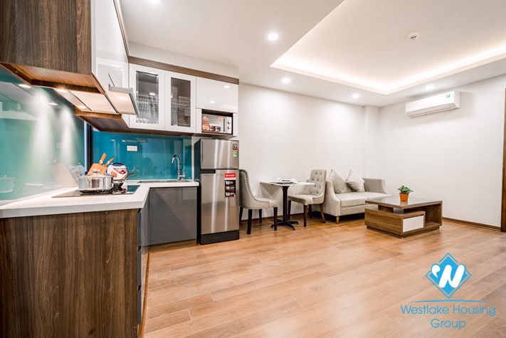 Nice new 1 bedroom apartment for rent in Kim Ma.